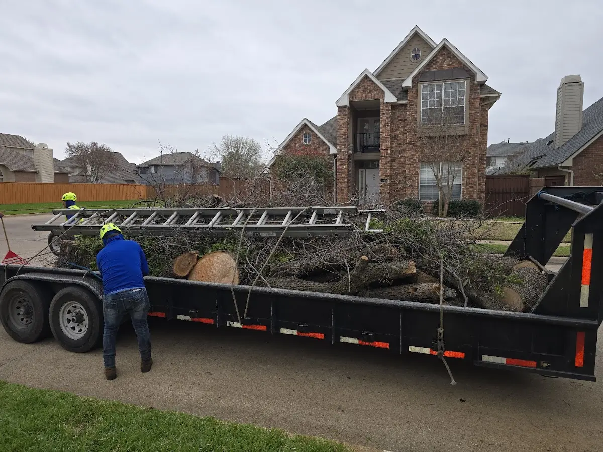 Expert Lot Clearing with proper safety equipment in Morehouse